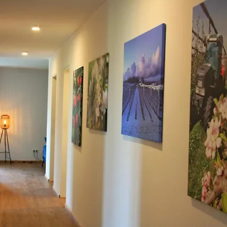 Obst- & Rauscher * Friedrichshafen