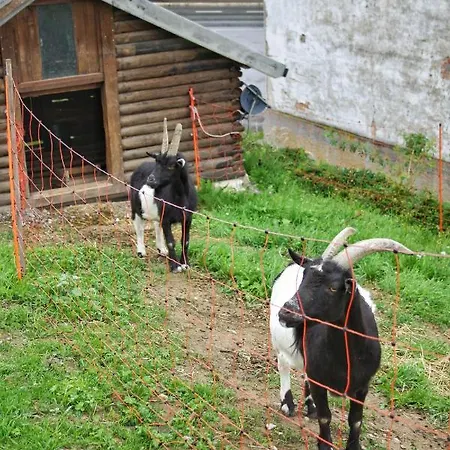 Obst- & Rauscher * Friedrichshafen